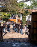 Los Valles  Experience