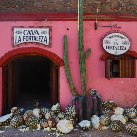 Destileria de Tequila Fortaleza
