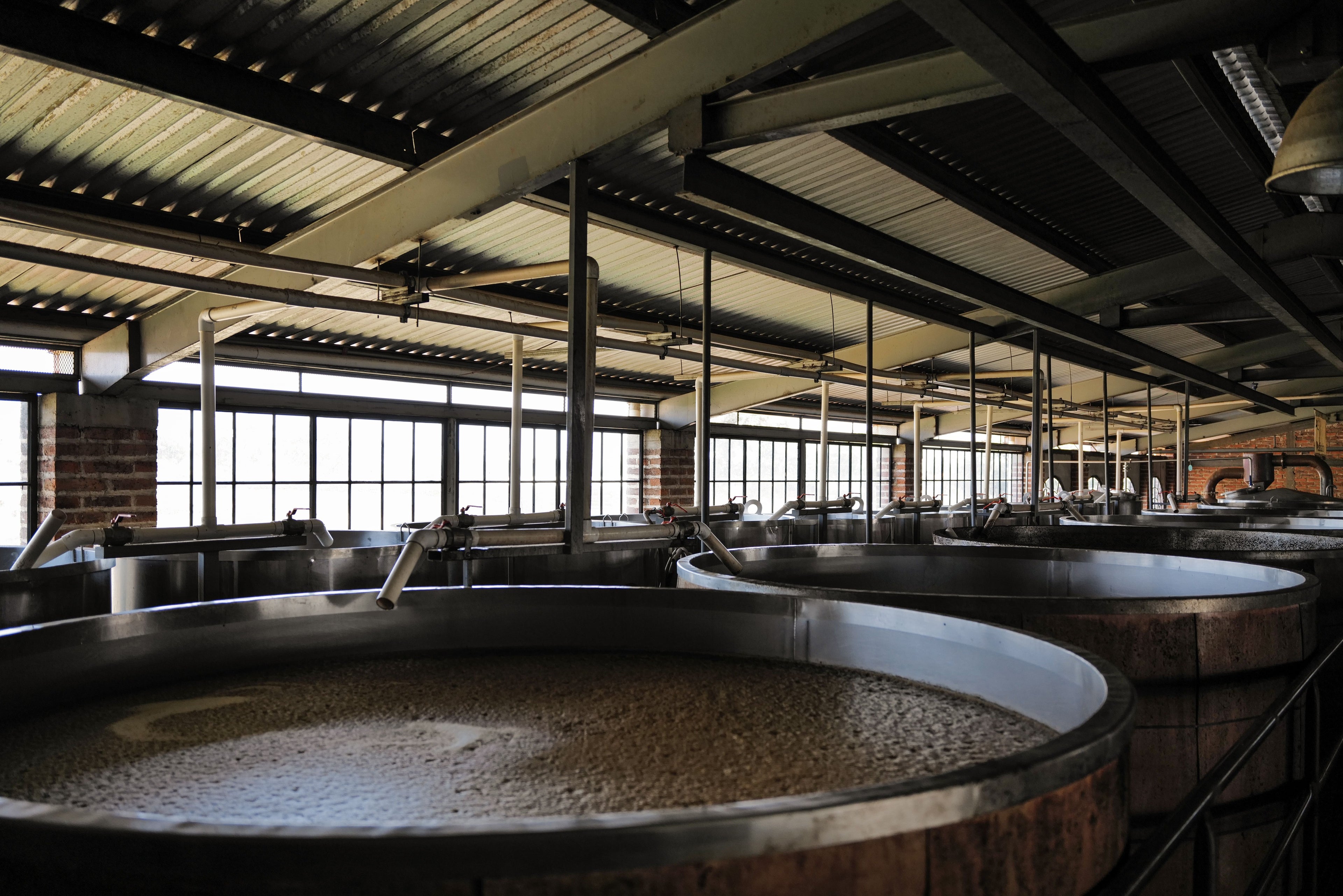 el pandillo Large industrial brewing vats inside a brewery with large windows on the wall.